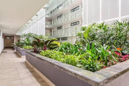 Coastal 2-bed Near Apartment *